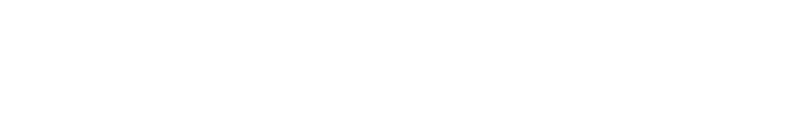 Infor Gold Resell Partner